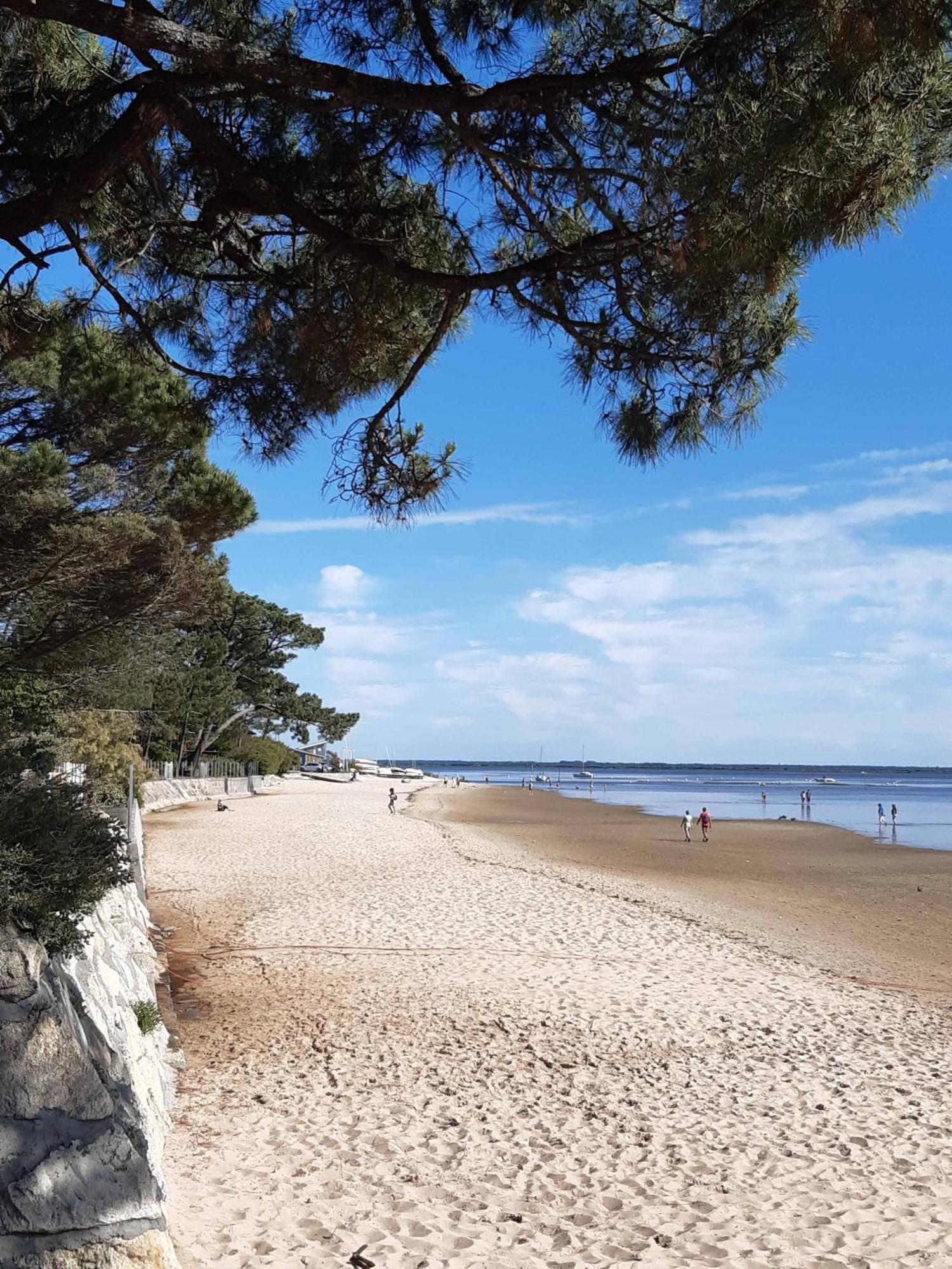 Gite Les 2 Pins - Оданж Экстерьер фото